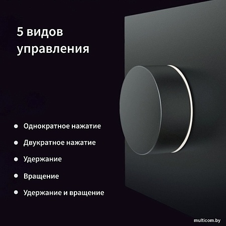 Светорегулятор (диммер) Aqara H1 ZNXNKG02LM_GR