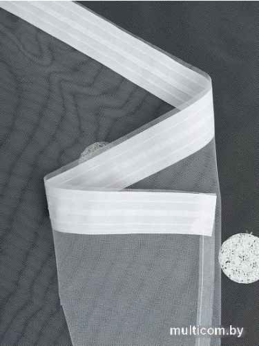 Тюль Amore Mio RR 240580-90 3x2.7 м 9979 (серебристый)