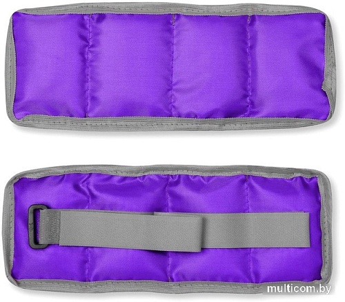 Утяжелитель Indigo Классик SM-148 2x0.5 кг (фиолетовый)