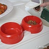 Миски на подставке Ferplast Lindo 71910021W1 (красный)