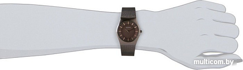 Наручные часы Bering Classic (11930-105)