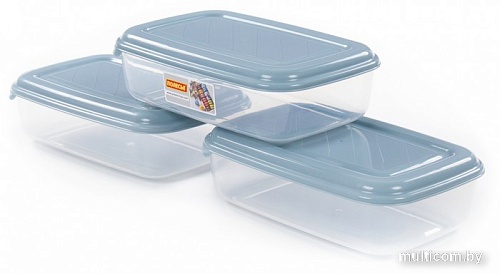 Набор контейнеров Полесье №41 2.7л с крышками 73836 (3 шт, прозрачный/серо-голубой)