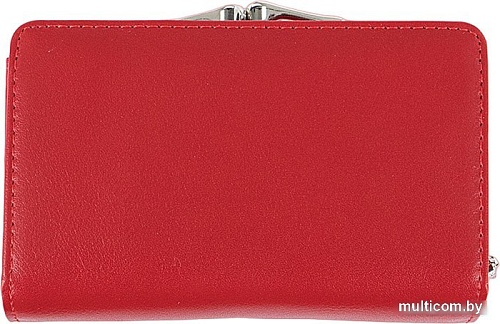 Кошелек Passo Avanti 920-NL0633B-RED (красный)