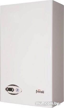 Отопительный котел Ferroli Divabel F24