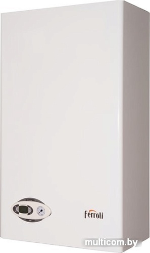 Отопительный котел Ferroli Divabel F24