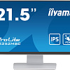 Монитор Iiyama ProLite T2252MSC-W2