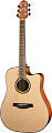 Электроакустическая гитара Crafter HD-250CE