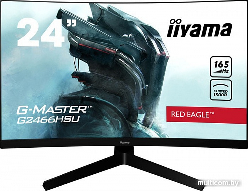 Монитор Iiyama G-Master G2466HSU-B1