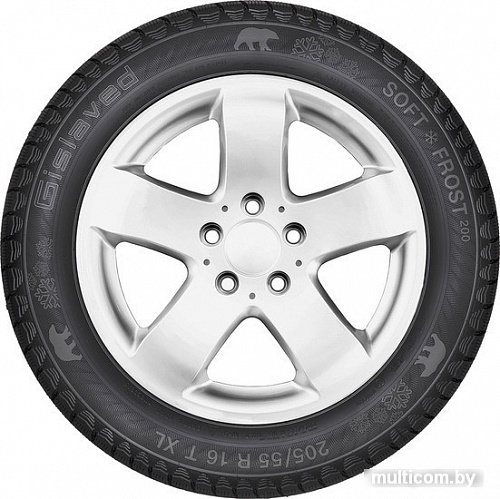Автомобильные шины Gislaved Soft*Frost 200 SUV 255/55R18 109T