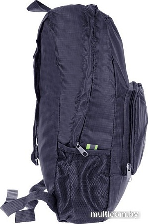 Школьный рюкзак ArtSpace Transformer Tn_19816