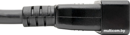 Кабель Tripp Lite C20 - C13 P032-007 (2.1 м, черный)