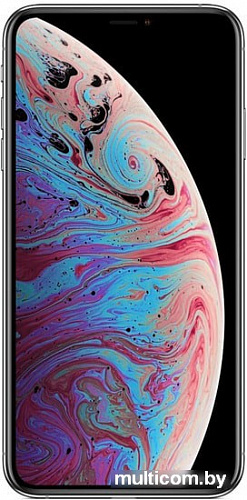 Смартфон Apple iPhone XS Max 512GB (серебристый)
