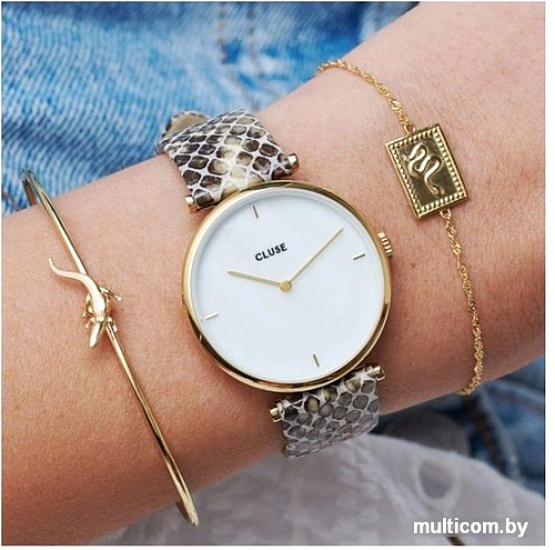 Наручные часы Cluse Triomphe CL61008