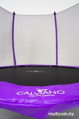 Батут Calviano Outside Master Purple 312 см - 10ft (внешняя сетка, с лестницей)