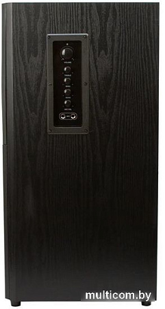 Акустика Eltronic 20-82 Home Sound (черный)