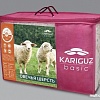 Одеяло Kariguz Руно БРн21-3-4.1 (172x205 см)