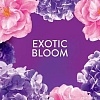 Кондиционер для белья Lenor Lenor Exotic Bloom 155 г