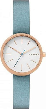 Наручные часы Skagen SKW2621