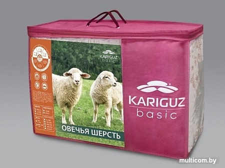 Одеяло Kariguz Руно БРн21-3-4.1 (172x205 см)