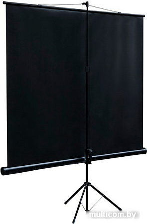 Проекционный экран Digis Kontur-C 120x120 DSKC-1106
