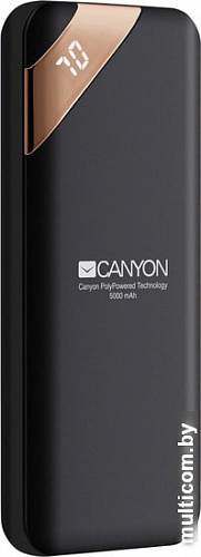 Портативное зарядное устройство Canyon CNE-CPBP5B