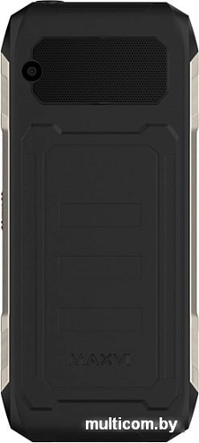 Мобильный телефон Maxvi T12 (черный)