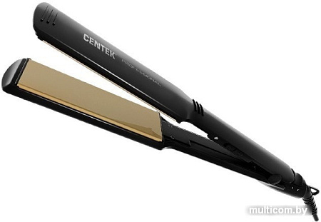 Выпрямитель CENTEK CT-2030 (черный)