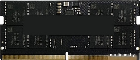 Оперативная память AMD Radeon R5 Entertainment Series 8ГБ DDR5 SODIMM 5600 МГц R558G5600S1S-U