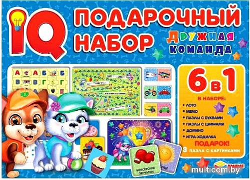 Развивающая игра Умные игры ружная команда. IQ-подарочный набор 6 в 1 4680107928023
