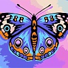 Картина по номерам Wizardi Бабочка MINI138