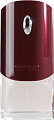 Givenchy Pour Homme EdT (100 мл)