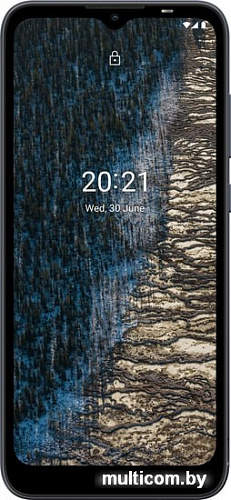 Смартфон Nokia C20 2GB/16GB (синий)