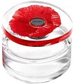 Kenzo Flower in The Air EdP (50 мл)