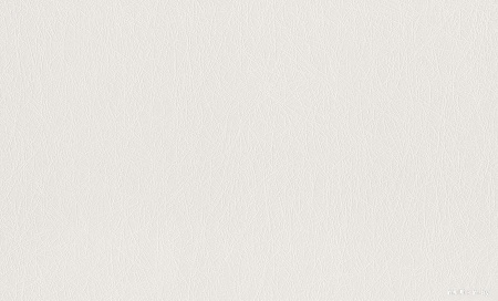 Флизелиновые обои Rasch 124514