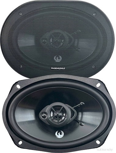 Коаксиальная АС Phoenix Gold Z69CXi