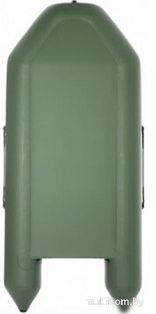 Моторно-гребная лодка Тонар Капитан 280Тс (зеленый)