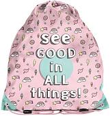 Мешок для обуви Paso PP20GT-712