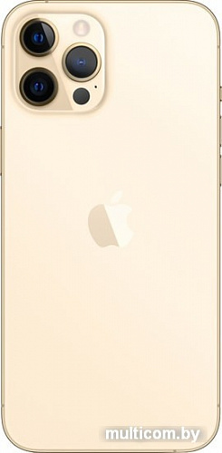 Смартфон Apple iPhone 12 Pro Max 128GB (золотой)