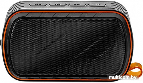 Беспроводная колонка Redmond Sound Sport
