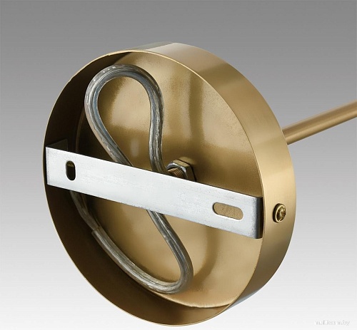 Подвесная люстра Lumion Anri 6590/8