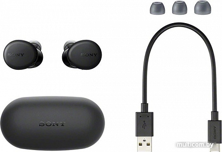 Наушники Sony WF-XB700 (черный)