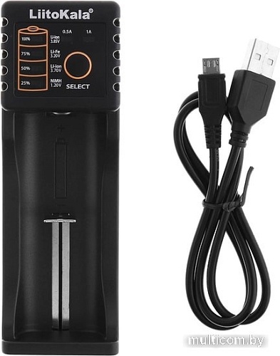 Зарядное LiitoKala Lii-100B