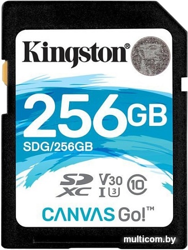Карта памяти Kingston Canvas Go! SDG/256GB SDXC 256GB