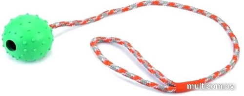 Игрушка для собак Beeztees 625956