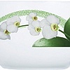 Салатник Luminarc White Orchid J7495