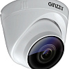 IP-камера Ginzzu HID-2301A