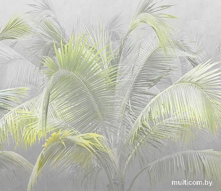 Фотообои Citydecor Знойные тропики 9 300x260