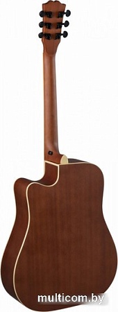 Акустическая гитара Terris TD-045 NA Starter Pack