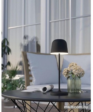 Садовый светильник Eglo Mannera 900457