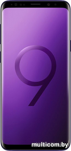 Смартфон Samsung Galaxy S9+ Dual SIM 64GB Exynos 9810 (бургунди)